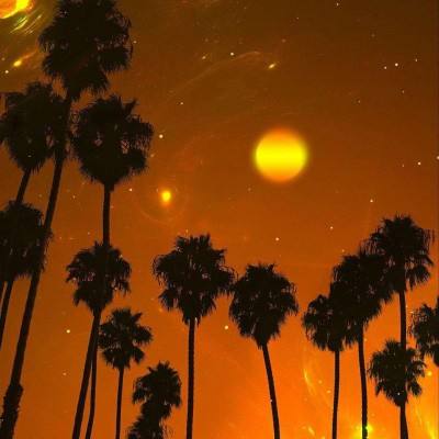 开云体云app手机app下载