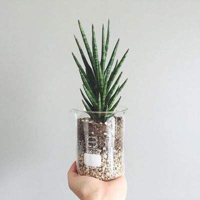 B体育登录APP下载