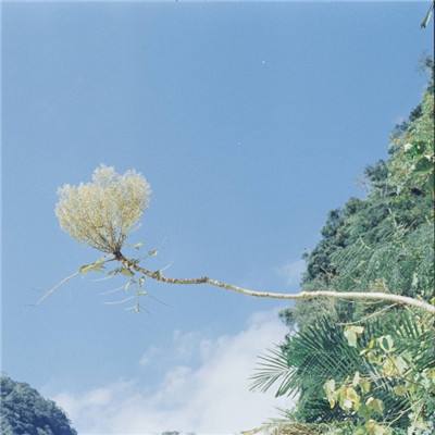 B体育手机版下载