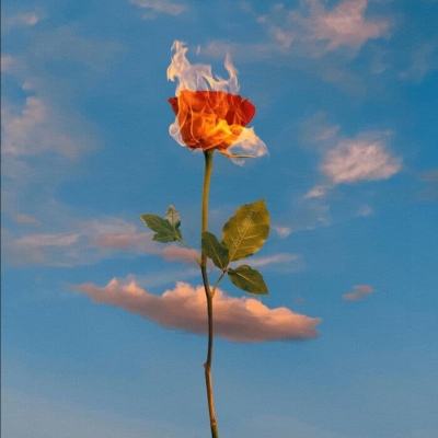 半岛网页版入口官网